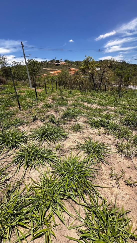 lote-venda-tiradentes-betim-1042254
