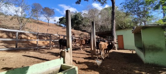 chacara-venda-florestal-tapera-792327