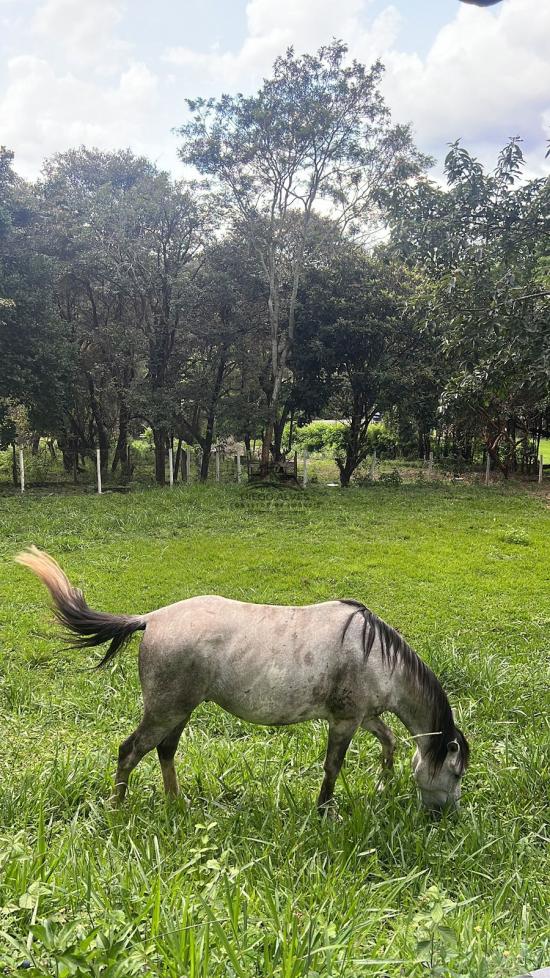 sitio-venda-varzea-das-flores-betim-1018618