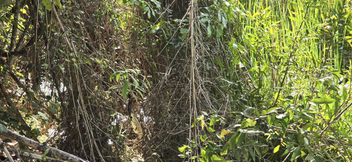 sitio-venda-varzea-das-flores-betim-1018676