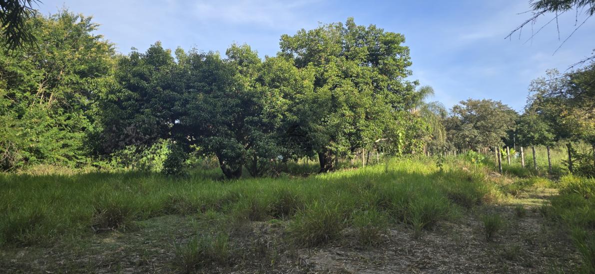 sitio-venda-varzea-das-flores-betim-1018678