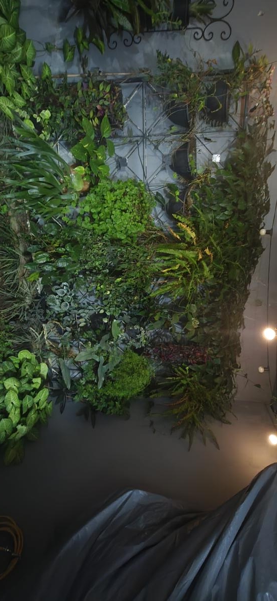 casa-geminada-venda-bom-retiro-betim-1021428