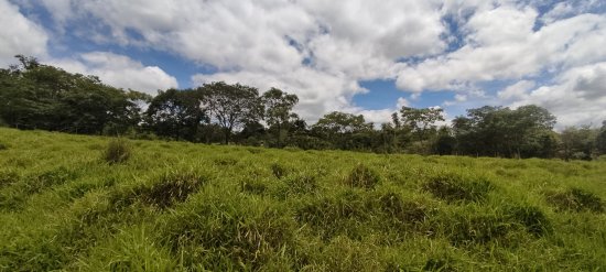 chacara-venda-coqueiro-de-cima-esmeraldas-830114