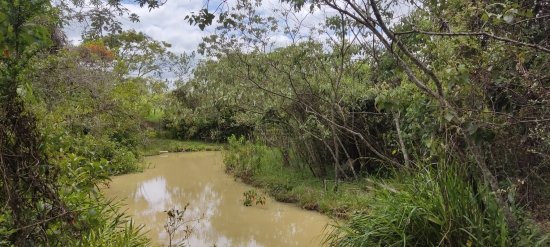 chacara-venda-coqueiro-de-cima-esmeraldas-830117