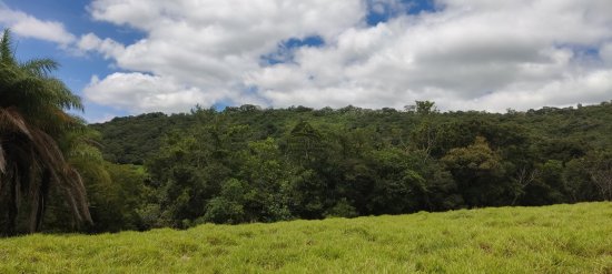 chacara-venda-coqueiro-de-cima-esmeraldas-830122